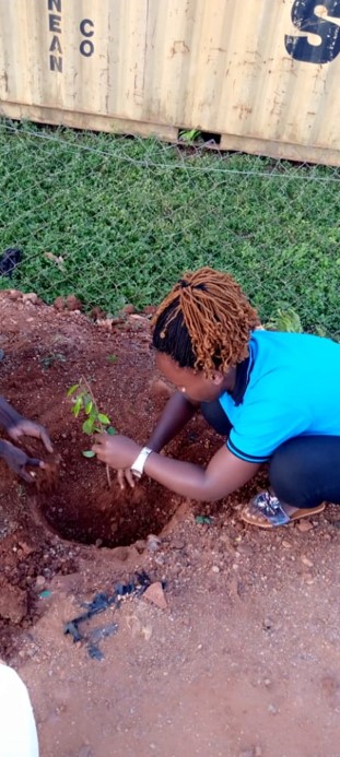 Nuwahereza Mellon participates in tree planting along Bwaise road, Kampala